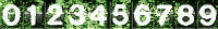 wild_woods.png